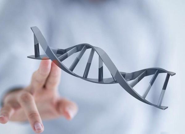 蚕豆|这三类夫妻不适合生男孩,如果你想要男孩,结婚之前要考虑清楚