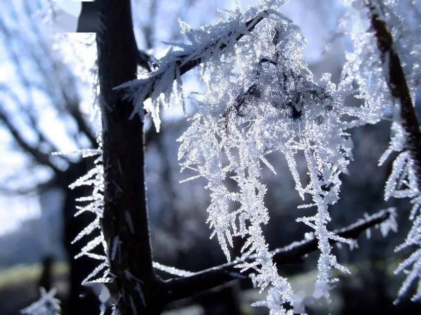  大青山|《呼和浩特第一场雪》