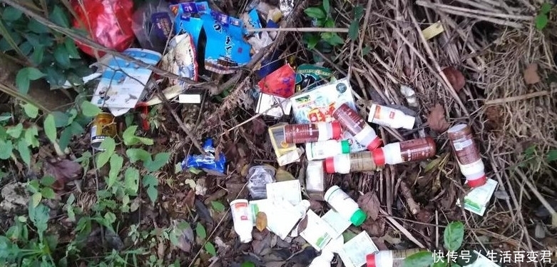 野钓如何快速的判断水域是否有鱼?掌握这七点能快速上手