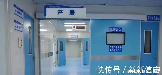 妻子|“最怂准爸爸”火了,陪产太害怕一直碎碎念,孕妈:生完再揍你