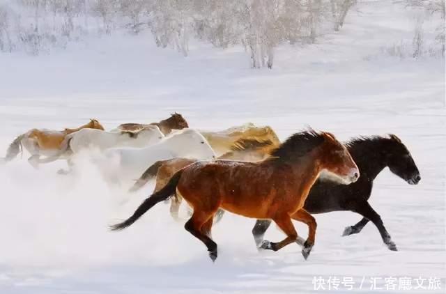 京北|玩儿雪非要去东北？京北草原这片冰雪秘境，也很香啊！