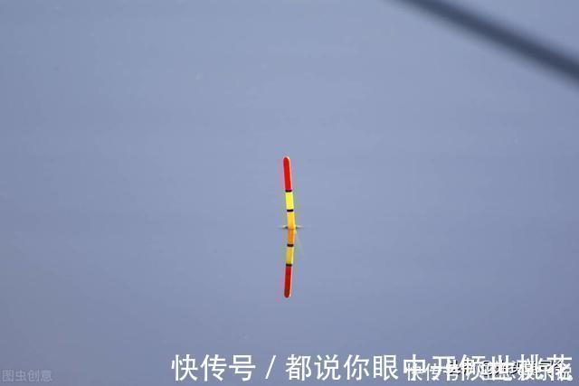 半目|鲫鱼都是送漂?谣言!这7种漂相都是鲫鱼吃钩,看你错过多少鱼
