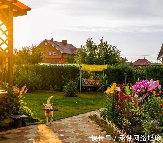 三亚发现一户人家院子,那叫一个惊艳!拍照给你们瞧瞧,真是羡慕