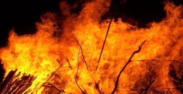 感事|唐诗中最有智慧的一首诗,看透人性!