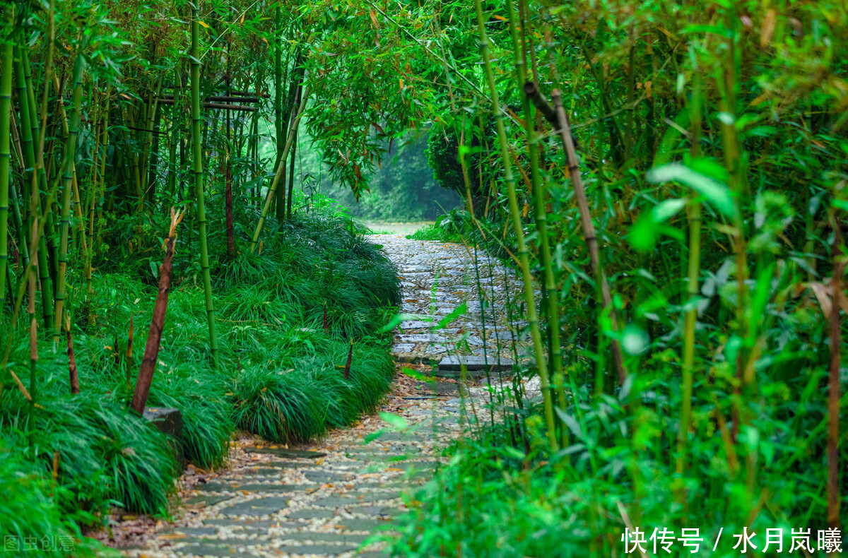  些人|闲来静处，且将诗酒猖狂。唱一曲归来未晚，歌一调湖海茫茫