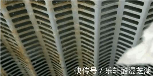 建议男人若条件允许，给老婆添置这3样生活“小物”，不贵却温馨