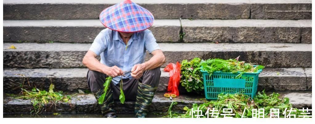 梦里水乡|低调的江南古镇，原生态、低物价，非常值得一去