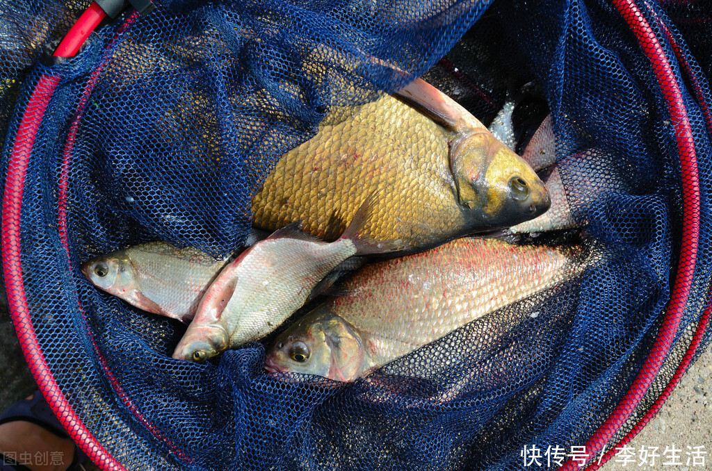 深水区的鱼儿不开口记住这3招,让鱼口起死回生