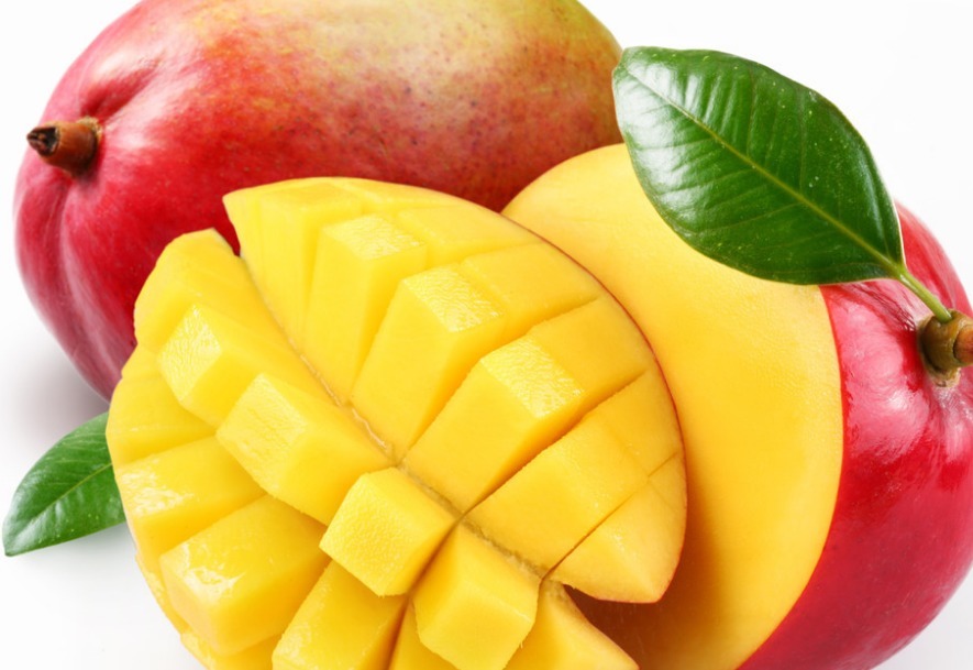 芒果肉质细腻，气味香甜，重视秋肥的施用，种出优质美味的芒果来