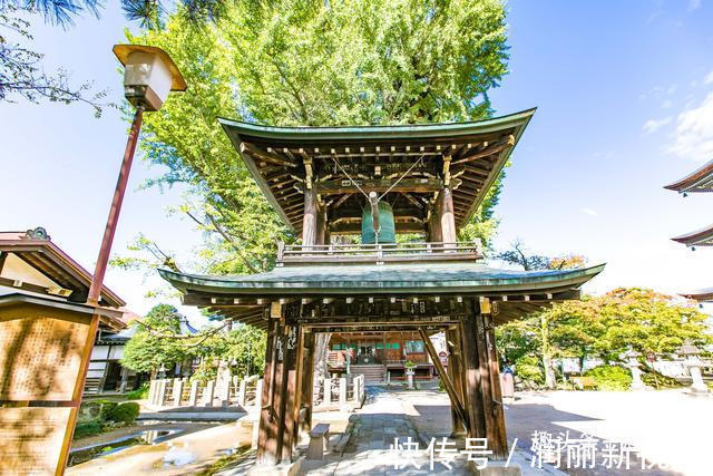 高山市|日本高山最有名的寺庙，有着一千两百年的银杏树，吸引众多游客