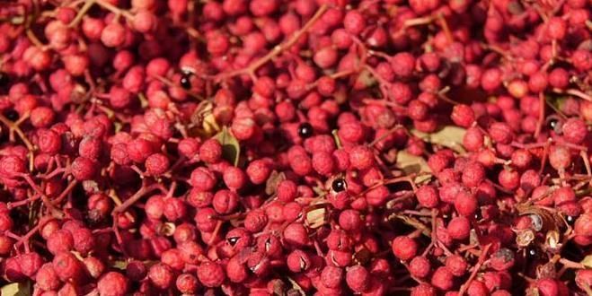 花椒和此物一起煮,湿气没了,大肚子没了,不想每天疲惫不堪试试