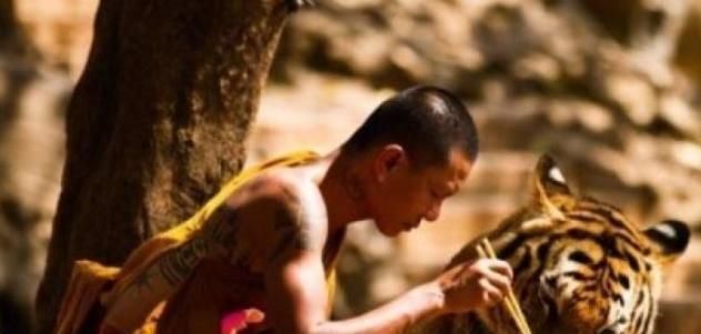 古代高僧能降伏猛虎是真是假?泰国一群僧人给出了答案