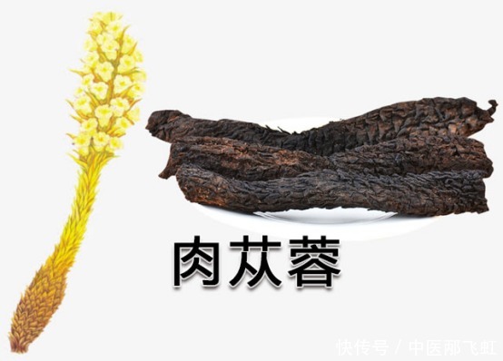 药食|药食两用的肉苁蓉,滋补肾阳不足、润肠通便的谦谦君子