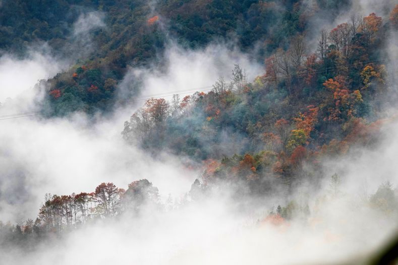 徐塘|平武有座山红透了！山上这条云端上的彩林公路秋色如画