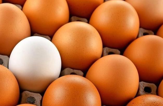  鸡蛋里面也有学问？学会识别鸡蛋，每天都能吃到营养好鸡蛋！