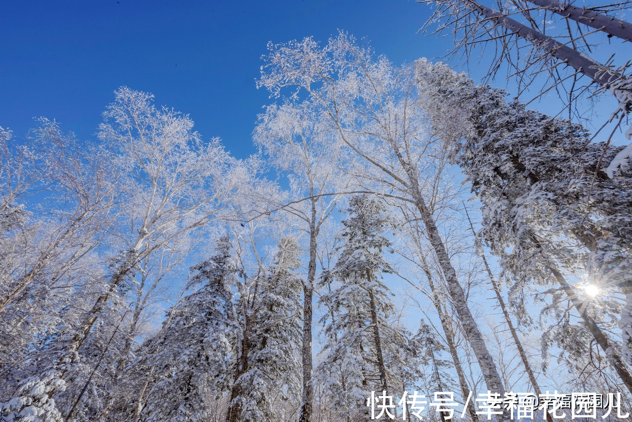 老桥|赏冰、玩雪、看美景，找回儿时过年的味道，就在非常冰雪黑龙江