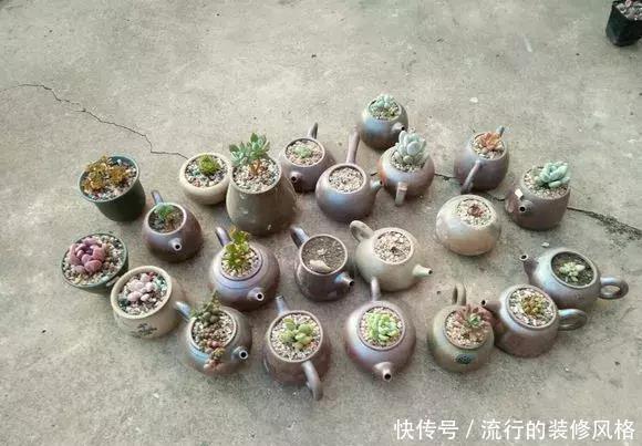 花盆还在买?一找一大堆,1毛钱不花,比买的花盆还要好