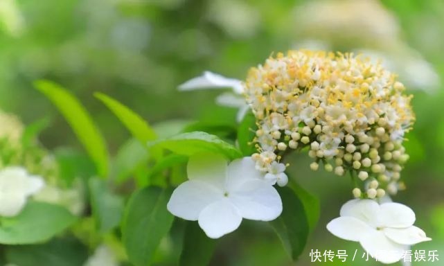 大唐|阳春三月,春回大地,三月赏花好去处