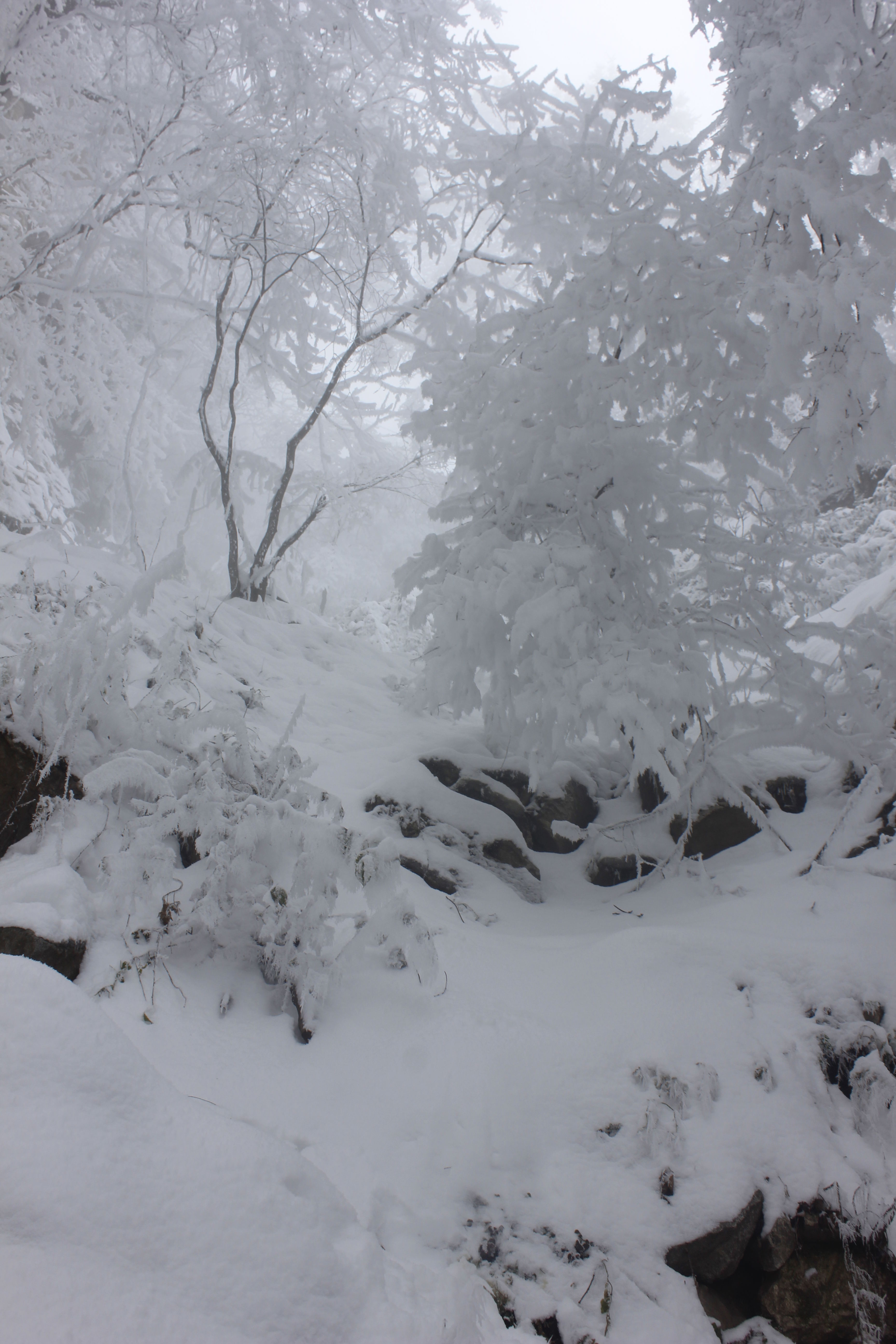 征集|【年末福利征集】雪后南五台幸遇云海