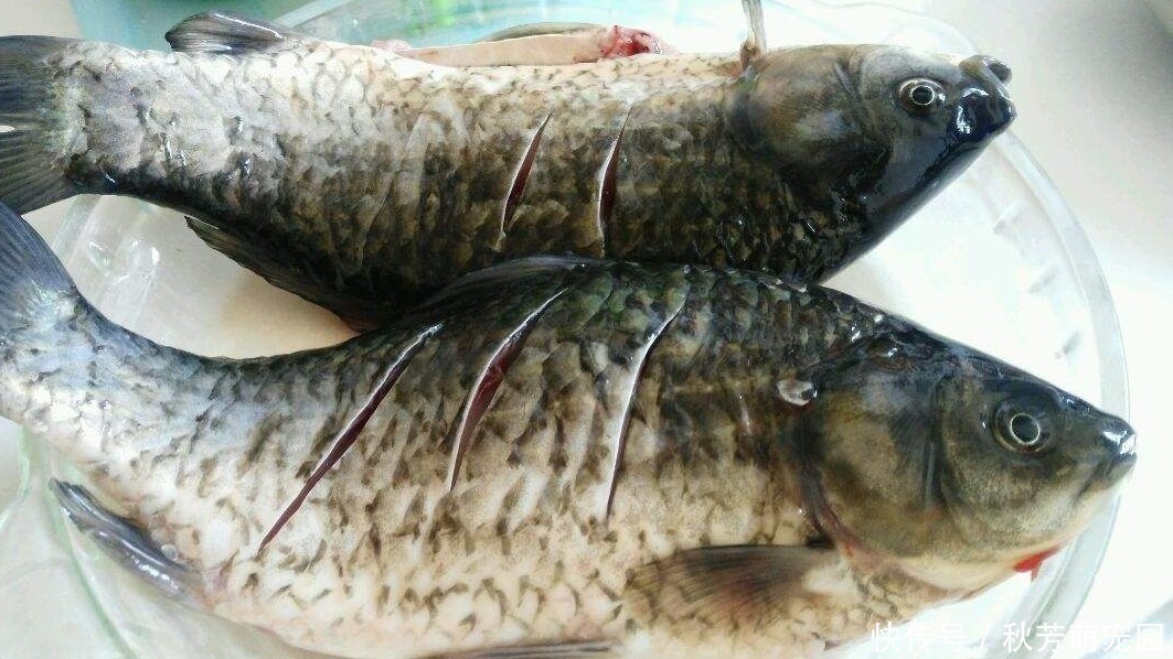 鱼汤|用冬瓜和它煮汤,多让孩子喝,清热去火还补钙,比骨头汤更有营养