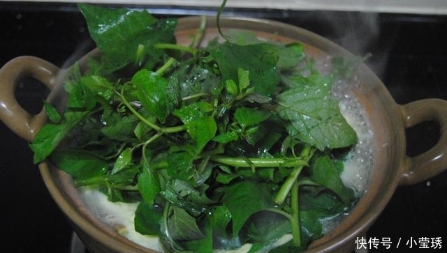 吃肉|天气炎热, 吃肉不如喝这汤, 清爽甘甜还解暑, 一碗下肚全身舒坦