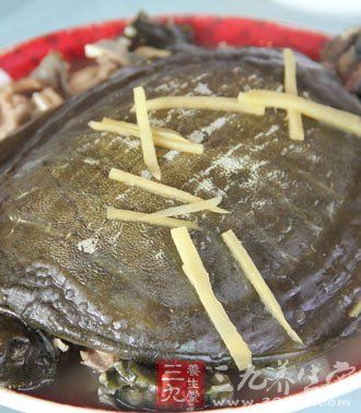 冬季補腎滋陰首選10款甲魚滋補食譜