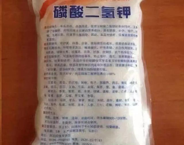 小技巧|3个养花“小技巧”，越早知道越好！养花百分百成活，1分钟学会