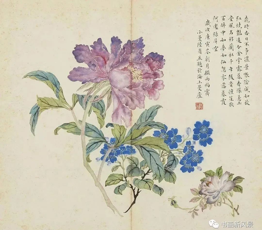 陆小曼花卉册页,很美很惊艳!