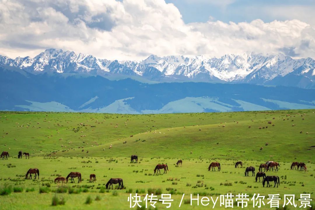 七夕节|七夕节快到了！这几个浪漫旅游地，你值得拥有！单身狗勿入