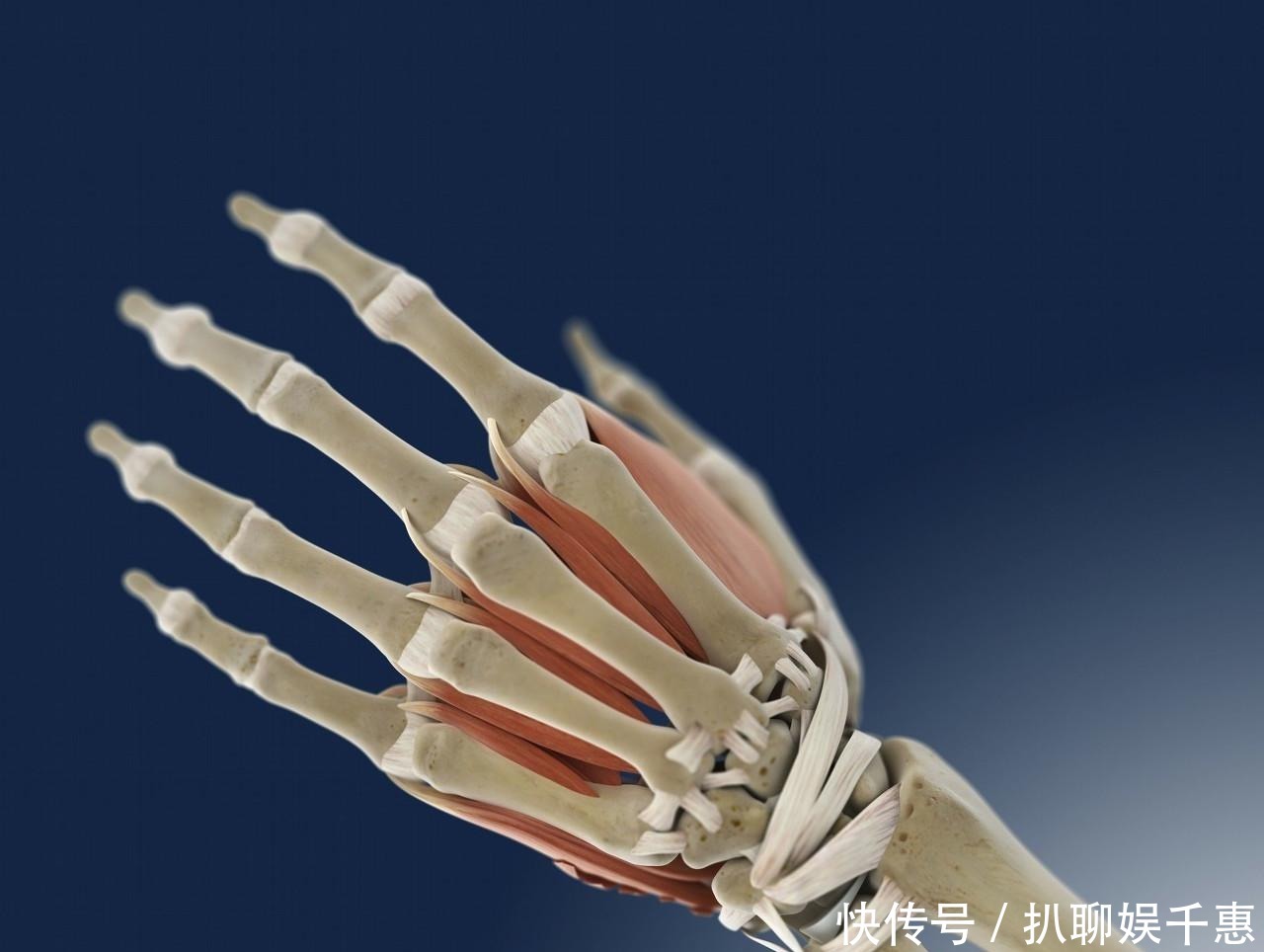 体质|人过中年,若还有“1细”、“1长”、“1硬”,可能是长寿体质