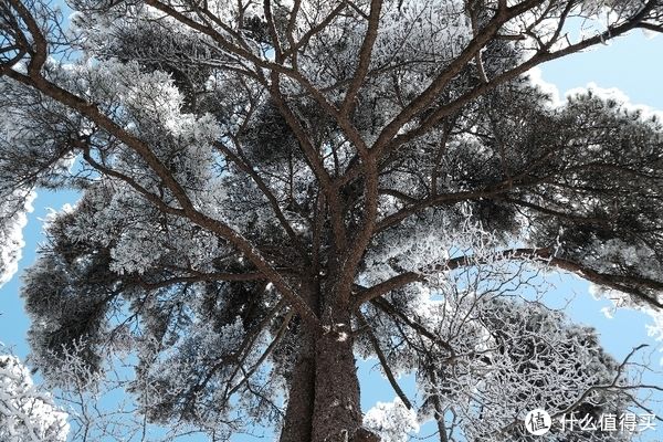 西海饭店|旅游 篇五：2022黄山冬游记–水墨黄山完结