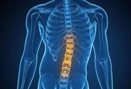 脊柱侧弯|双肩不一样高?当心是它在作怪