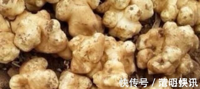 血糖|4物是糖尿病的“死对头”,生活中尽量多吃点,或助血糖慢慢下降