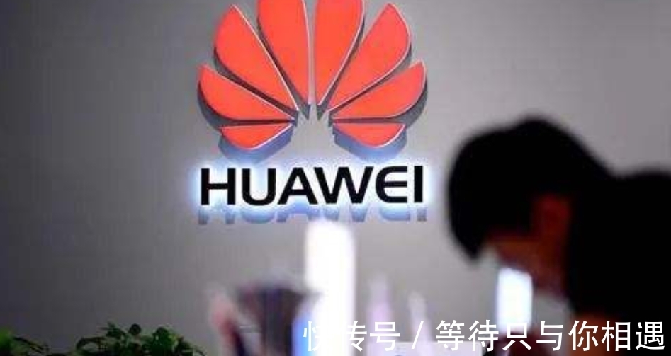 德国研究所|俄罗斯00后“天才情侣”加入华为,高颜值高智商情侣,网友慕了