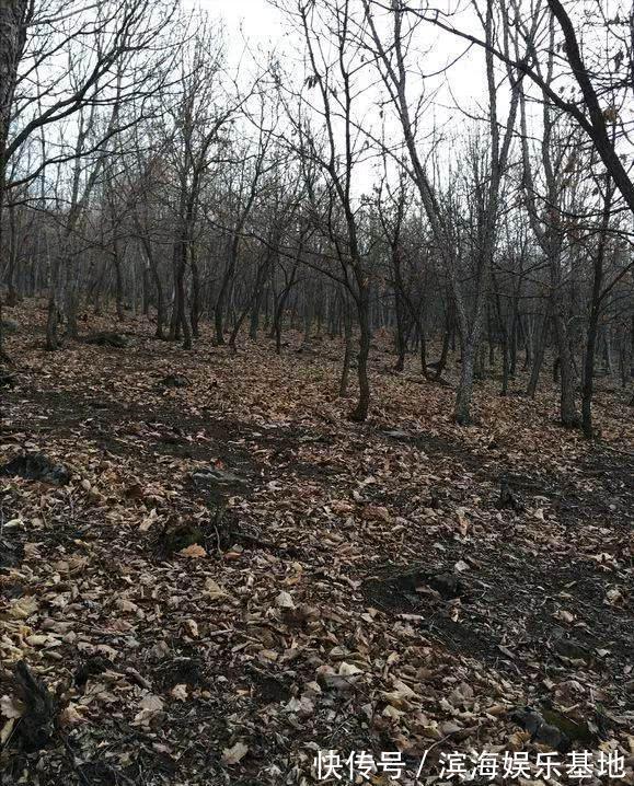 养花|7种“垃圾”不是废物,泡一下水,肥的流油,养花一级棒