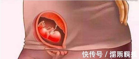 怀胎|宝宝是怎么被慢慢孕育出来的,十张过程图,一切来之不易