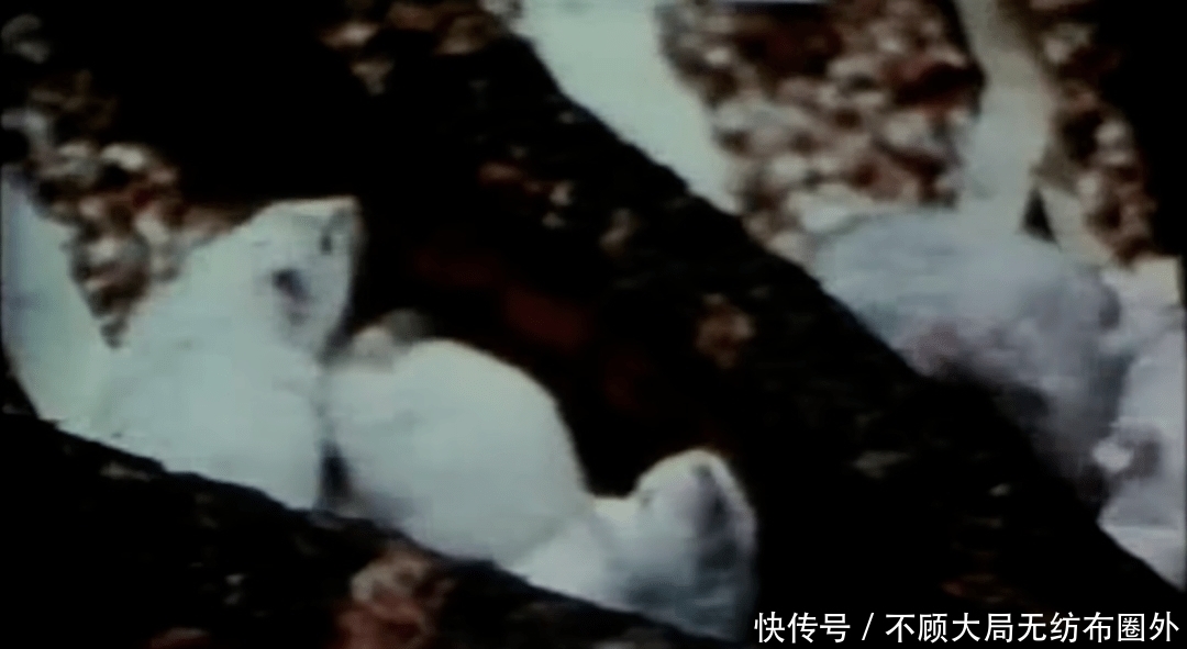 细思|一个细思极恐的心理学实验：为何与家人住在一起，会让人抓狂？
