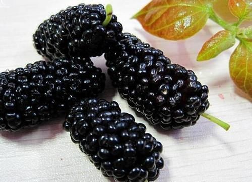 胎儿|在孕期间多吃以下这几样食物,宝宝以后身体健康还聪明!