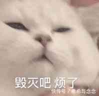 孕妇|你竟还买着唬人的“孕妇专用”洗护用品？真是花着冤枉钱，找罪受