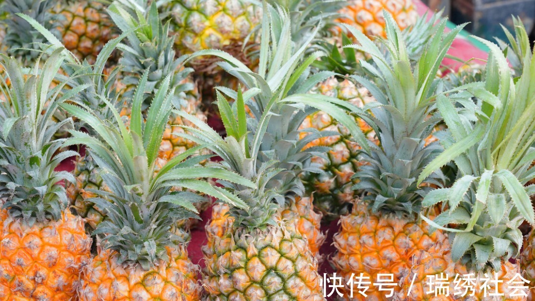 糖尿病人|菠萝对糖尿病人的血糖影响大吗?看看2名糖尿病患者怎么说