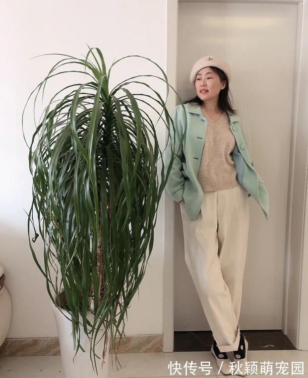 发型|五十多岁的女人,要学会打扮自己,多注重发型和穿搭,美得更出众