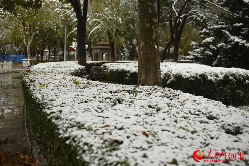 初雪|白雪皑皑银装素裹 河北各地迎来今冬“初雪”