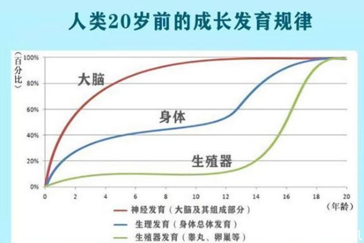 聪明|哈佛研究：孩子一生中有三个“变聪明”的机会，抓住一个就稳了