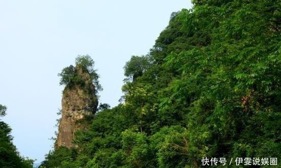 河南藏着一个竹海仙境，夏天只有二十多度！门票50元，自驾直达