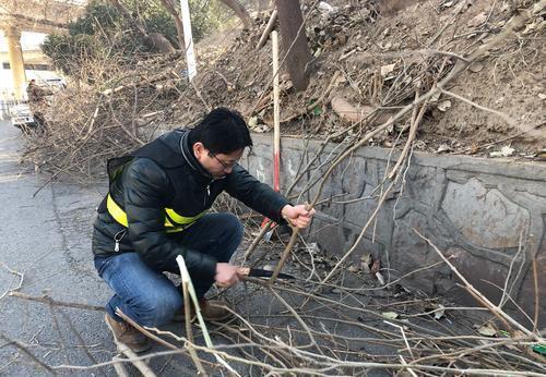 养花用好土长得旺,教你改善土壤的技巧