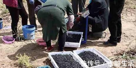 消炎|子宫垃圾的“天敌”找到了，每天吃一点，消炎排毒，年轻更美丽