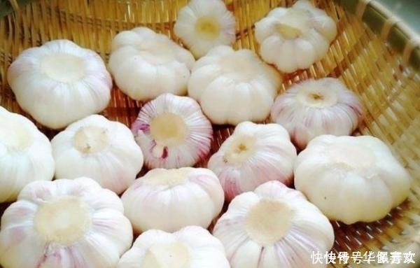 身體|經(jīng)常吃腌制后的大蒜，對(duì)身體有益還是有害？看看營(yíng)養(yǎng)師怎么說(shuō)