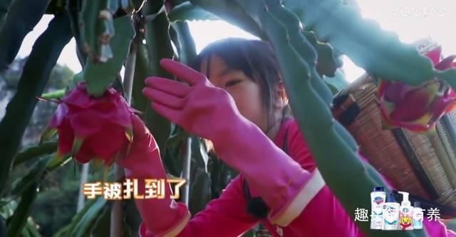 吴尊对孩子的温柔耐心以及用心陪伴,值得所有二胎家庭借鉴