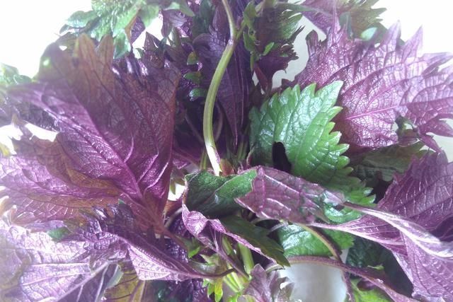 独特|独特的野菜香味,和肉这样搭配做成一道美食,香味闻到都流口水