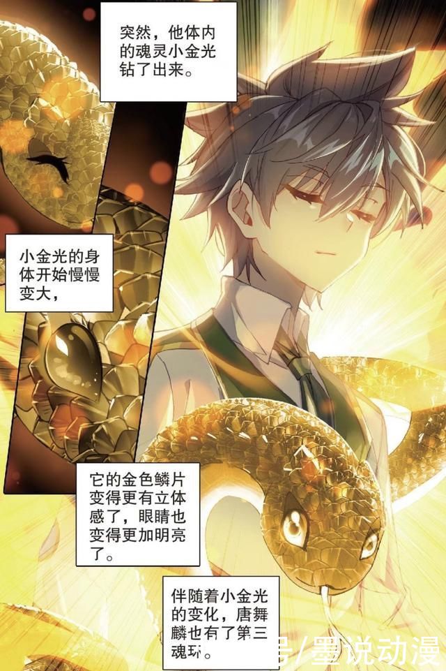 龙王传说|龙王传说:唐舞麟拜师枫无羽，魂力突破三十级，第三道封印解开
